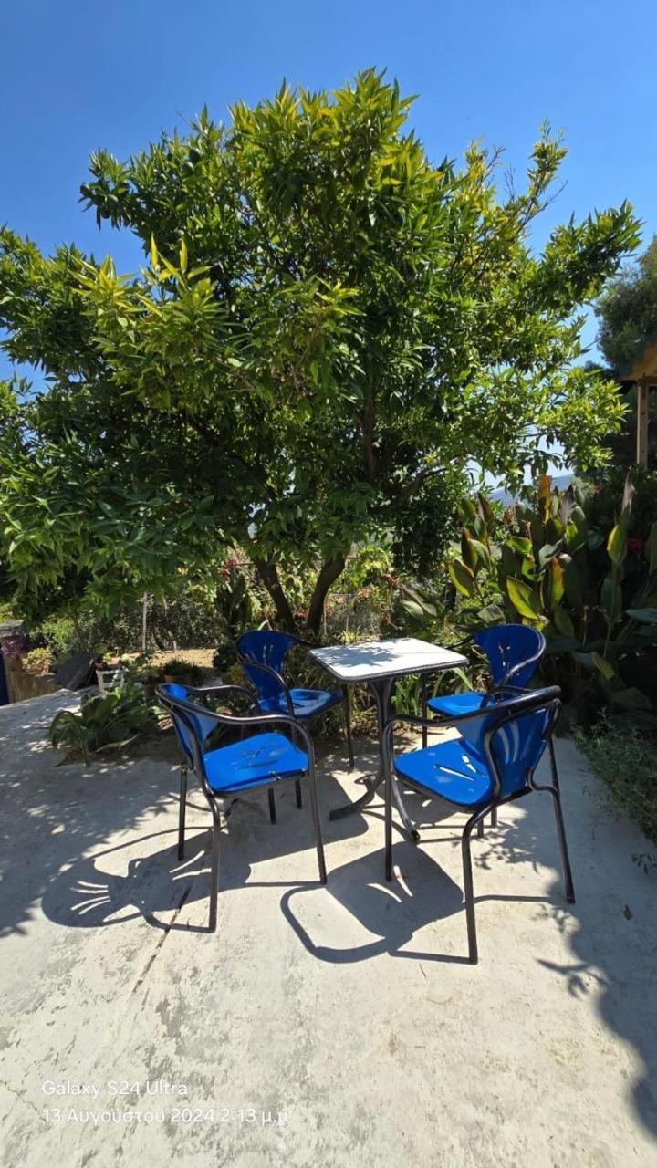 Rama Guest House Berat Dış mekan fotoğraf