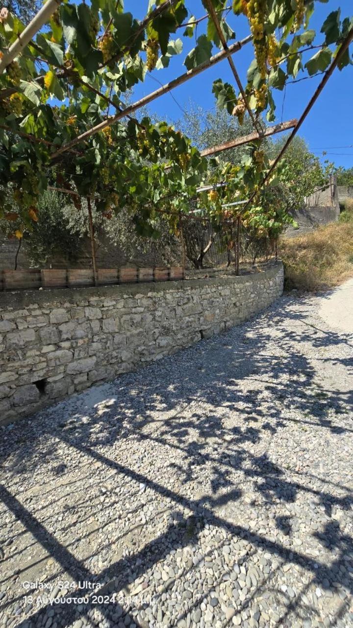 Rama Guest House Berat Dış mekan fotoğraf